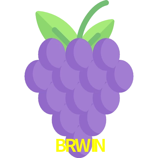 BRWIN